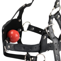 LOVE AND VIBES Bâillon Cuir BDSM Avec Gag-ball -Sextoys boutique baillon cuir bdsm avec gag ball 8