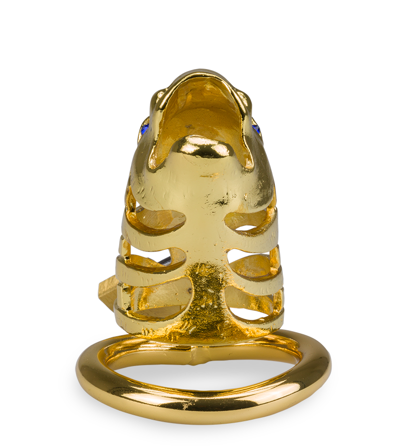 LOVE AND VIBES Cage à Pénis Astrologie Chinoise Dragon Doré 8 LOVE AND VIBES Cage à Pénis Astrologie Chinoise Dragon Doré – Image 8