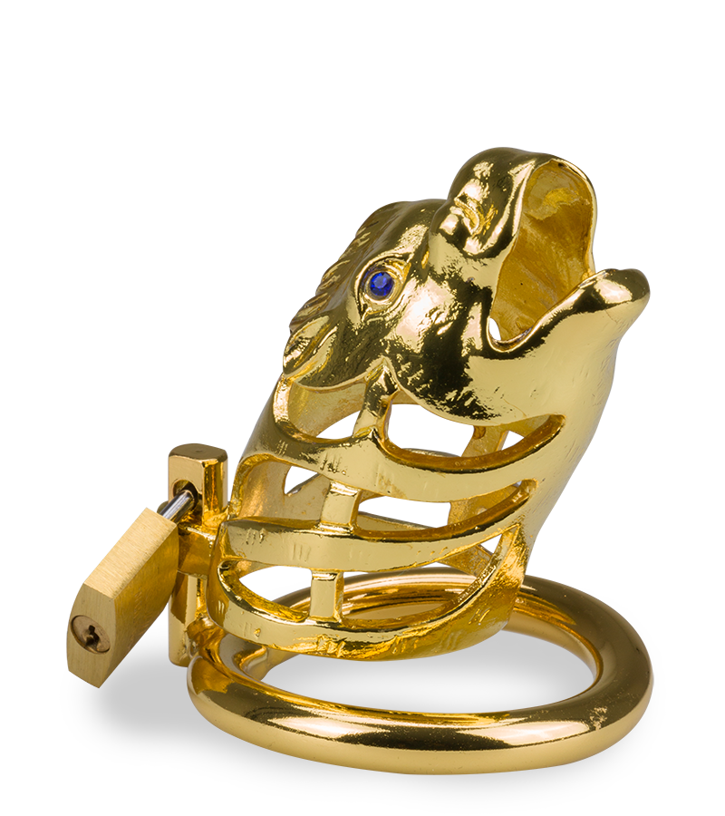 LOVE AND VIBES Cage à Pénis Astrologie Chinoise Dragon Doré 10 LOVE AND VIBES Cage à Pénis Astrologie Chinoise Dragon Doré – Image 10