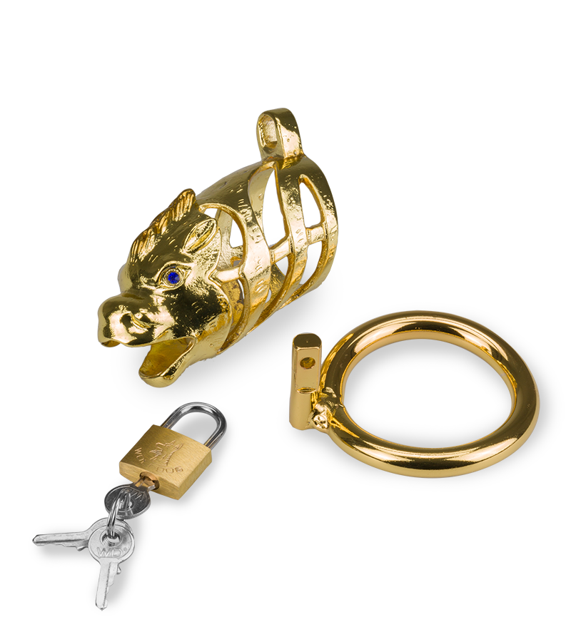 LOVE AND VIBES Cage à Pénis Astrologie Chinoise Dragon Doré 11 LOVE AND VIBES Cage à Pénis Astrologie Chinoise Dragon Doré – Image 11