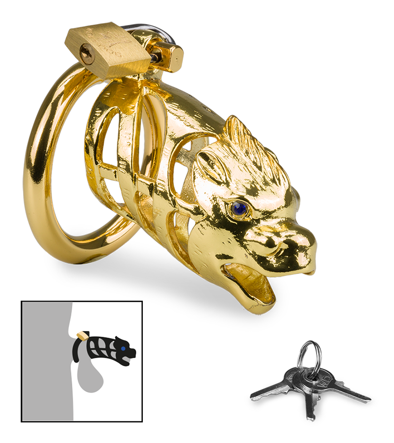 LOVE AND VIBES Cage à Pénis Astrologie Chinoise Dragon Doré 1 LOVE AND VIBES Cage à Pénis Astrologie Chinoise Dragon Doré