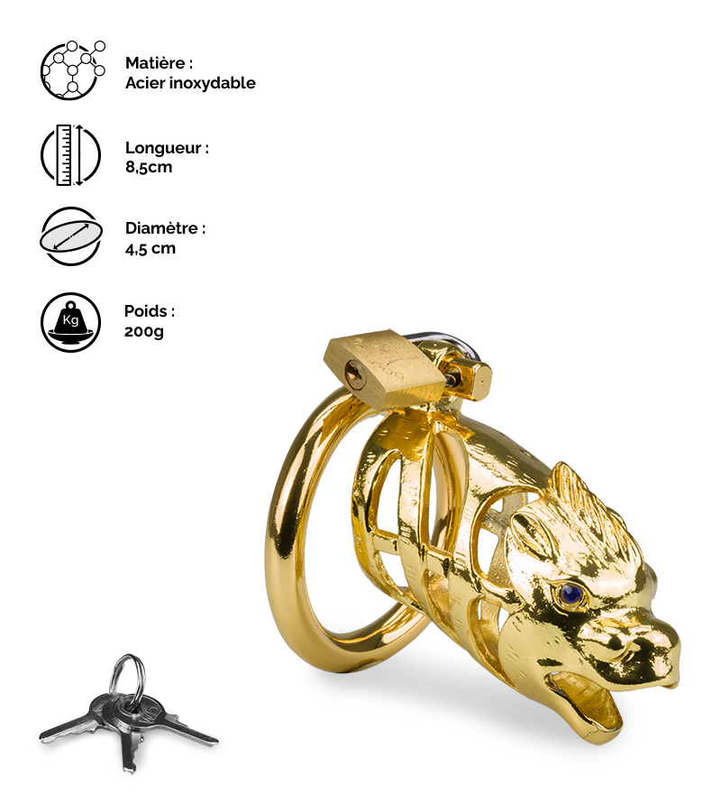 LOVE AND VIBES Cage à Pénis Astrologie Chinoise Dragon Doré 2 LOVE AND VIBES Cage à Pénis Astrologie Chinoise Dragon Doré – Image 2