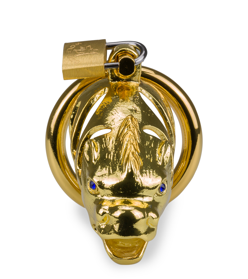 LOVE AND VIBES Cage à Pénis Astrologie Chinoise Dragon Doré 3 LOVE AND VIBES Cage à Pénis Astrologie Chinoise Dragon Doré – Image 3