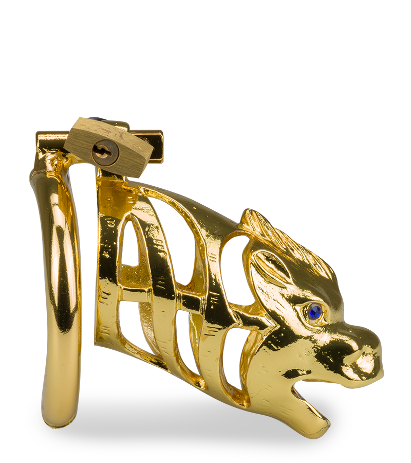 LOVE AND VIBES Cage à Pénis Astrologie Chinoise Dragon Doré 4 LOVE AND VIBES Cage à Pénis Astrologie Chinoise Dragon Doré – Image 4