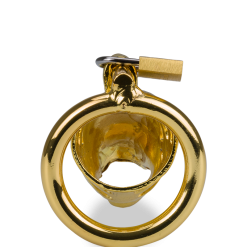 LOVE AND VIBES Cage à Pénis Astrologie Chinoise Dragon Doré 15 LOVE AND VIBES Cage à Pénis Astrologie Chinoise Dragon Doré -Sextoys boutique cage a penis astrologie chinoise dragon dore 7