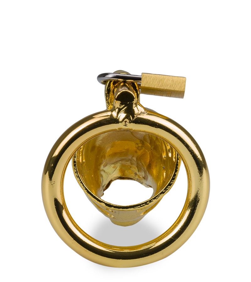 LOVE AND VIBES Cage à Pénis Astrologie Chinoise Dragon Doré 5 LOVE AND VIBES Cage à Pénis Astrologie Chinoise Dragon Doré – Image 5