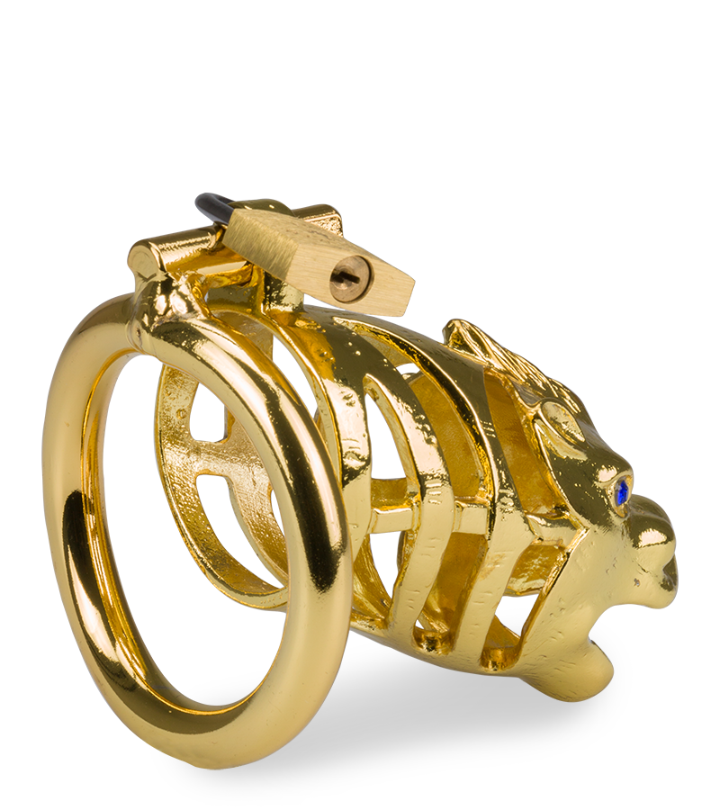 LOVE AND VIBES Cage à Pénis Astrologie Chinoise Dragon Doré 6 LOVE AND VIBES Cage à Pénis Astrologie Chinoise Dragon Doré – Image 6