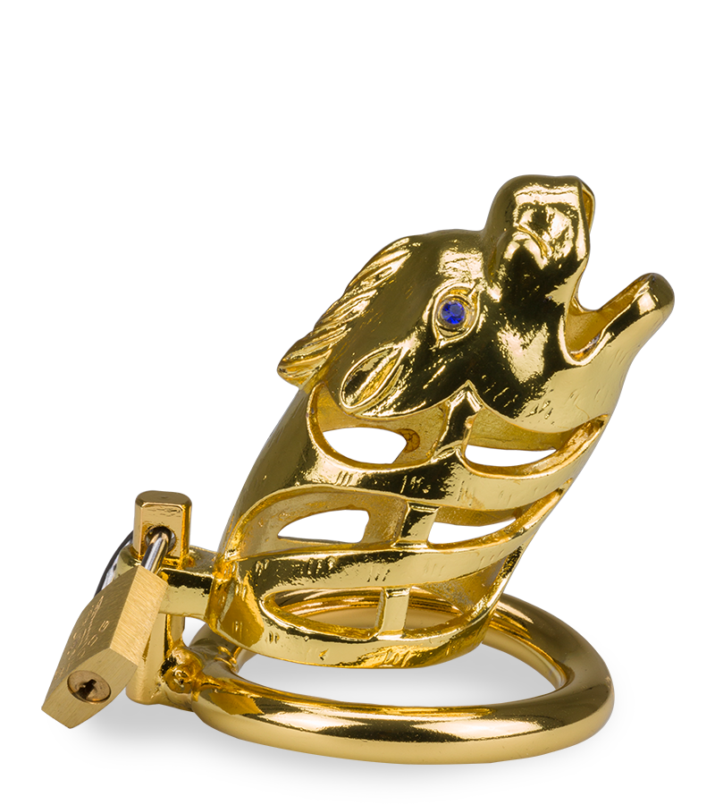 LOVE AND VIBES Cage à Pénis Astrologie Chinoise Dragon Doré 7 LOVE AND VIBES Cage à Pénis Astrologie Chinoise Dragon Doré – Image 7