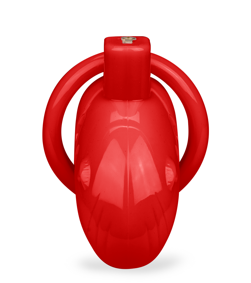 LOVE AND VIBES Cage De Chasteté En PVC Whaly 42 LOVE AND VIBES Cage De Chasteté En PVC Whaly – Image 42