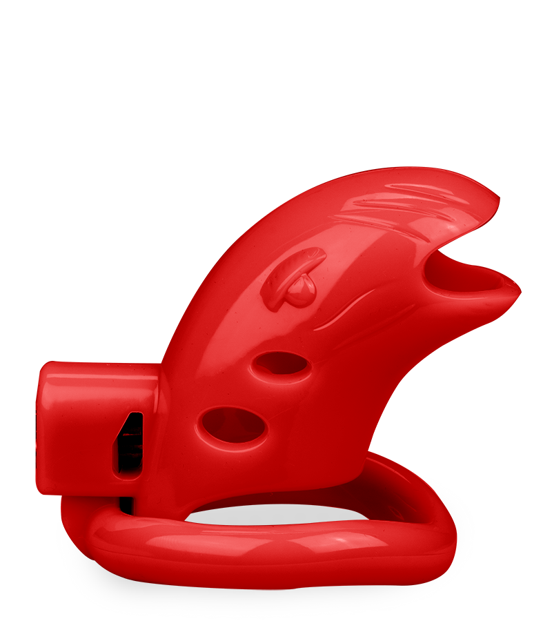 LOVE AND VIBES Cage De Chasteté En PVC Whaly 46 LOVE AND VIBES Cage De Chasteté En PVC Whaly – Image 46