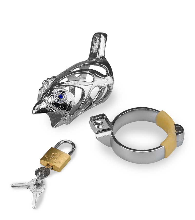 LOVE AND VIBES Cage De Chasteté Homme Astrologie Chinoise Coq 11 LOVE AND VIBES Cage De Chasteté Homme Astrologie Chinoise Coq – Image 11