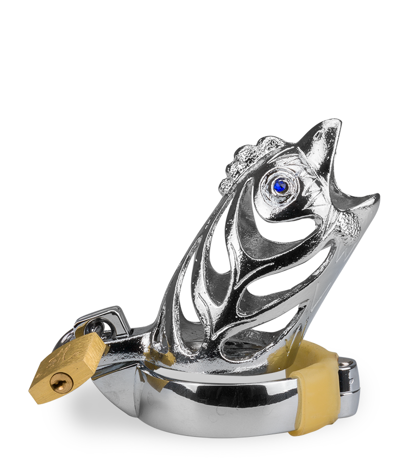 LOVE AND VIBES Cage De Chasteté Homme Astrologie Chinoise Coq 7 LOVE AND VIBES Cage De Chasteté Homme Astrologie Chinoise Coq – Image 7