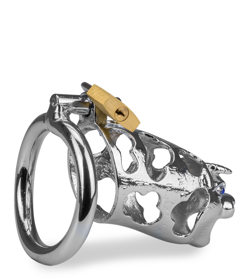 LOVE AND VIBES Cage De Chasteté Pénis Astrologie Chinoise Buffle 6 LOVE AND VIBES Cage De Chasteté Pénis Astrologie Chinoise Buffle – Image 6