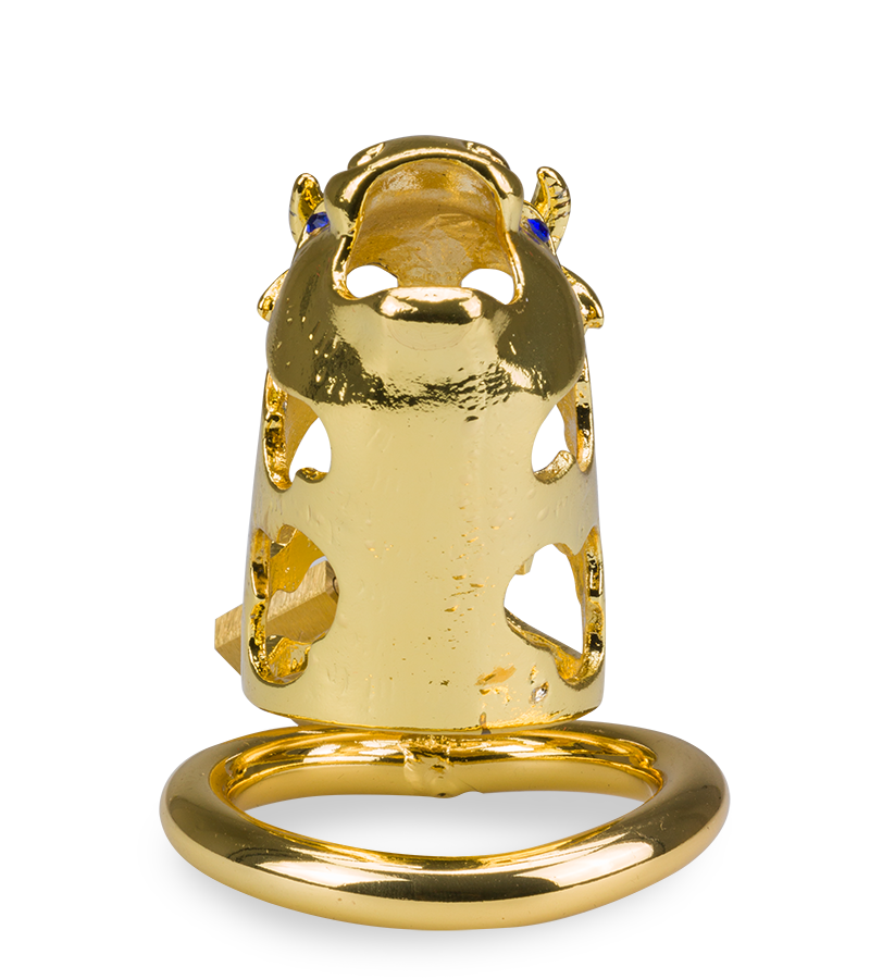 LOVE AND VIBES Cage De Chasteté Pénis Astrologie Chinoise Buffle Doré 8 LOVE AND VIBES Cage De Chasteté Pénis Astrologie Chinoise Buffle Doré – Image 8