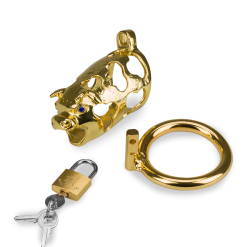 LOVE AND VIBES Cage De Chasteté Pénis Astrologie Chinoise Buffle Doré 21 LOVE AND VIBES Cage De Chasteté Pénis Astrologie Chinoise Buffle Doré -Sextoys boutique cage de chastete penis astrologie chinoise buffle dore 13