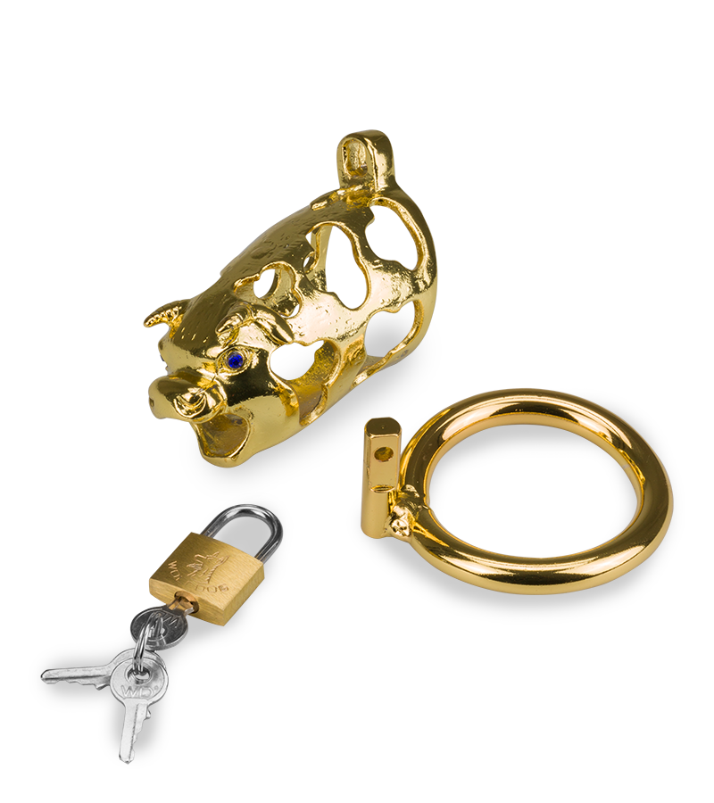 LOVE AND VIBES Cage De Chasteté Pénis Astrologie Chinoise Buffle Doré 11 LOVE AND VIBES Cage De Chasteté Pénis Astrologie Chinoise Buffle Doré – Image 11