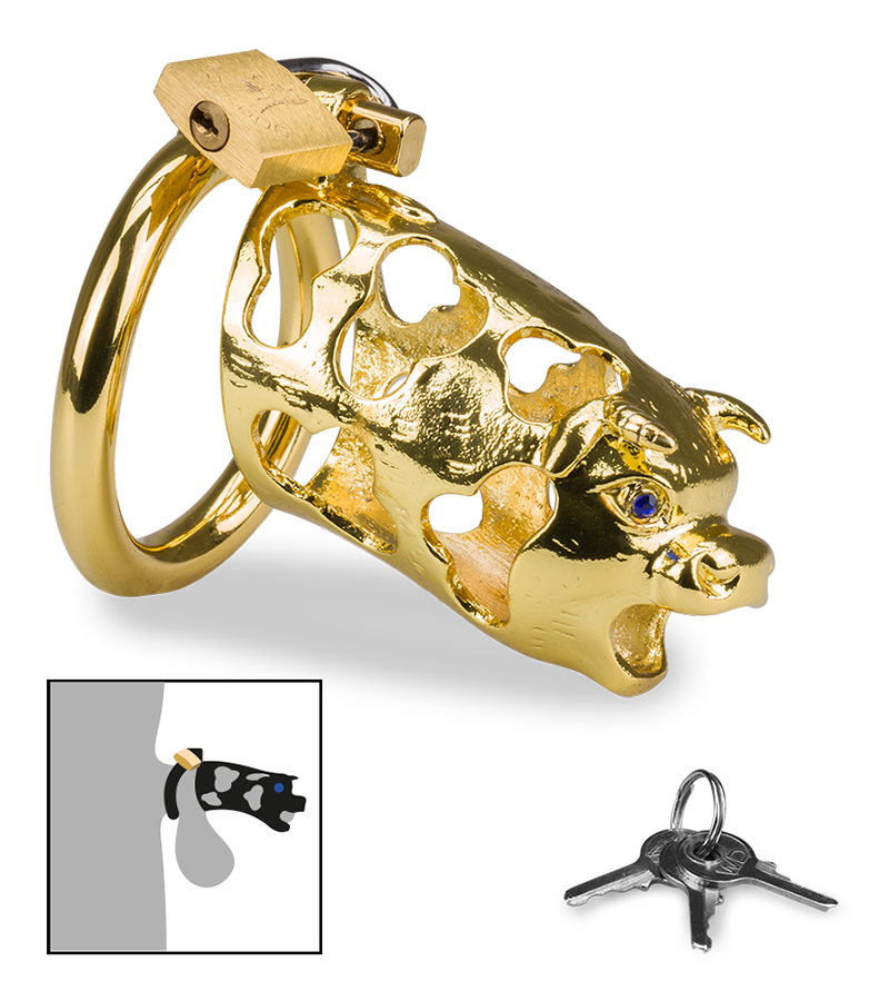 LOVE AND VIBES Cage De Chasteté Pénis Astrologie Chinoise Buffle Doré 1 LOVE AND VIBES Cage De Chasteté Pénis Astrologie Chinoise Buffle Doré