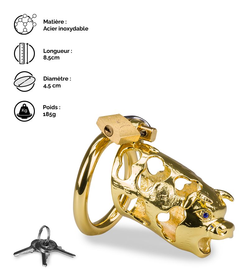 LOVE AND VIBES Cage De Chasteté Pénis Astrologie Chinoise Buffle Doré 2 LOVE AND VIBES Cage De Chasteté Pénis Astrologie Chinoise Buffle Doré – Image 2