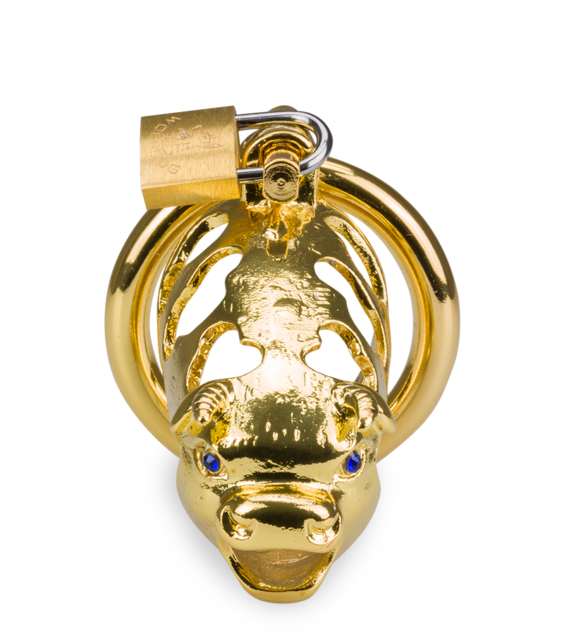 LOVE AND VIBES Cage De Chasteté Pénis Astrologie Chinoise Buffle Doré 3 LOVE AND VIBES Cage De Chasteté Pénis Astrologie Chinoise Buffle Doré – Image 3