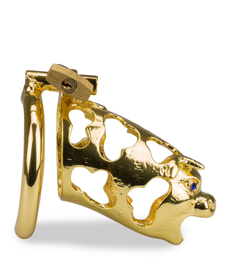 LOVE AND VIBES Cage De Chasteté Pénis Astrologie Chinoise Buffle Doré 4 LOVE AND VIBES Cage De Chasteté Pénis Astrologie Chinoise Buffle Doré – Image 4