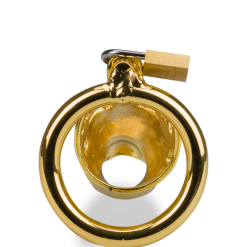 LOVE AND VIBES Cage De Chasteté Pénis Astrologie Chinoise Buffle Doré 15 LOVE AND VIBES Cage De Chasteté Pénis Astrologie Chinoise Buffle Doré -Sextoys boutique cage de chastete penis astrologie chinoise buffle dore 7