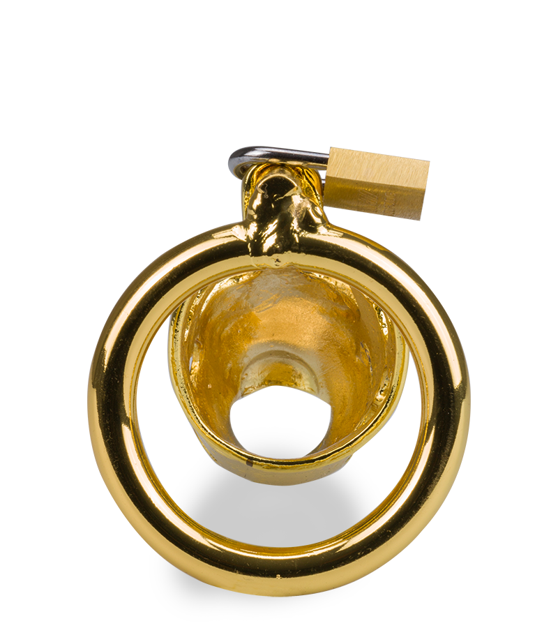 LOVE AND VIBES Cage De Chasteté Pénis Astrologie Chinoise Buffle Doré 5 LOVE AND VIBES Cage De Chasteté Pénis Astrologie Chinoise Buffle Doré – Image 5