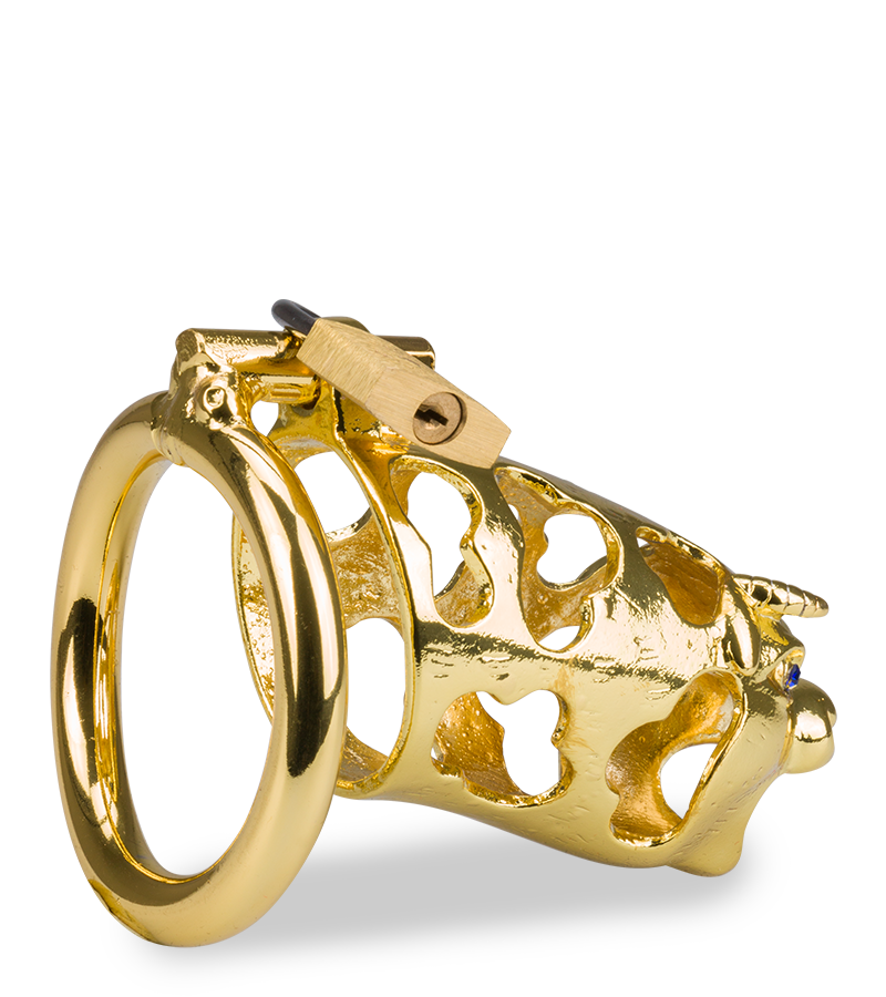 LOVE AND VIBES Cage De Chasteté Pénis Astrologie Chinoise Buffle Doré 6 LOVE AND VIBES Cage De Chasteté Pénis Astrologie Chinoise Buffle Doré – Image 6