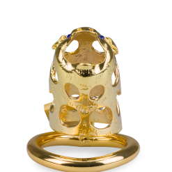 LOVE AND VIBES Cage De Chasteté Pénis Astrologie Chinoise Cochon Doré 16 LOVE AND VIBES Cage De Chasteté Pénis Astrologie Chinoise Cochon Doré -Sextoys boutique cage de chastete penis astrologie chinoise cochon dore 10