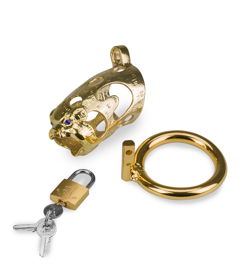 LOVE AND VIBES Cage De Chasteté Pénis Astrologie Chinoise Cochon Doré 9 LOVE AND VIBES Cage De Chasteté Pénis Astrologie Chinoise Cochon Doré – Image 9