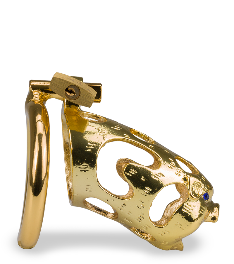 LOVE AND VIBES Cage De Chasteté Pénis Astrologie Chinoise Cochon Doré 4 LOVE AND VIBES Cage De Chasteté Pénis Astrologie Chinoise Cochon Doré – Image 4