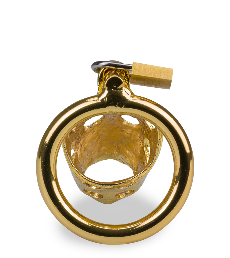 LOVE AND VIBES Cage De Chasteté Pénis Astrologie Chinoise Cochon Doré 5 LOVE AND VIBES Cage De Chasteté Pénis Astrologie Chinoise Cochon Doré – Image 5