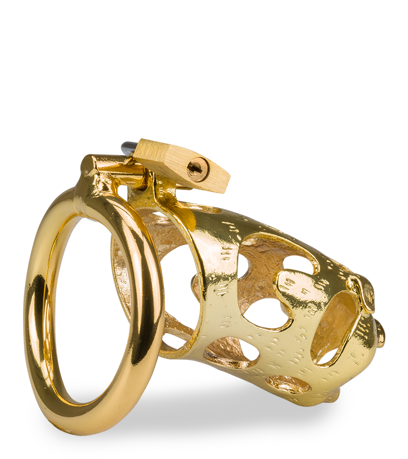 LOVE AND VIBES Cage De Chasteté Pénis Astrologie Chinoise Cochon Doré 6 LOVE AND VIBES Cage De Chasteté Pénis Astrologie Chinoise Cochon Doré – Image 6