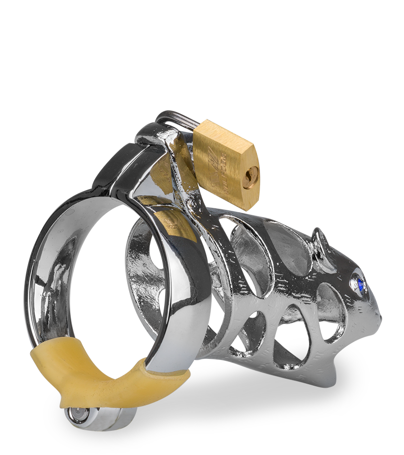 LOVE AND VIBES Cage De Chasteté Pénis Astrologie Chinoise Rat 6 LOVE AND VIBES Cage De Chasteté Pénis Astrologie Chinoise Rat – Image 6