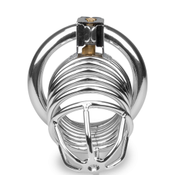 LOVE AND VIBES Cage De Chasteté Pénis Capture -Sextoys boutique cage de chastete penis capture 16