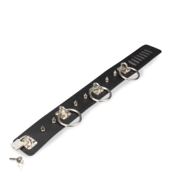 LOVE AND VIBES Collier BDSM Anneaux Et Pointes -Sextoys boutique collier bdsm anneaux et pointes 7