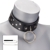 LOVE AND VIBES Collier BDSM Rivets Et Anneaux Avec Laisse