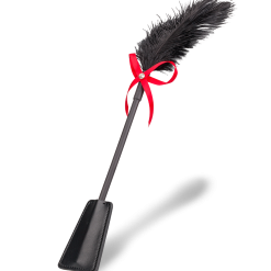 LOVE AND VIBES Cravache BDSM Et Plumeau 2-en-1