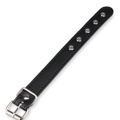 LOVE AND VIBES Laisse Cuir BDSM Pour Pénis 7 LOVE AND VIBES Laisse Cuir BDSM Pour Pénis -Sextoys boutique laisse cuir bdsm pour penis 6