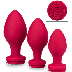 LOVE AND VIBES Lot De 3 Plugs En Silicone Forever