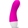 LOVE AND VIBES Mini Vibro Clitoris 30 Fonctions USB