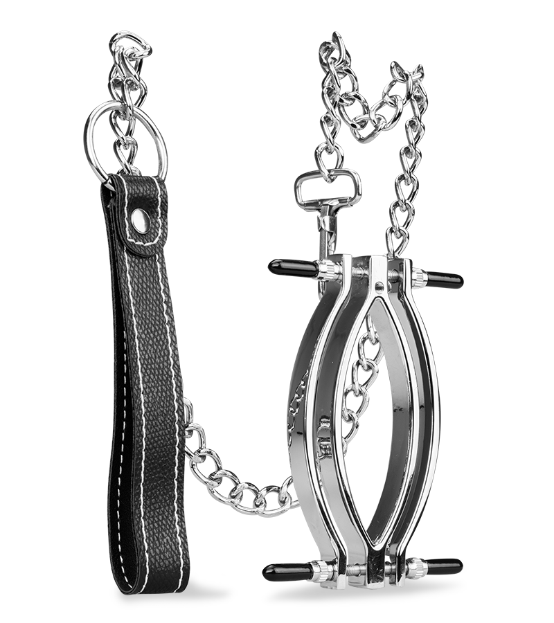 LOVE AND VIBES Pince à Vagin En Acier Inoxydable + Laisse 3 LOVE AND VIBES Pince à Vagin En Acier Inoxydable + Laisse – Image 3