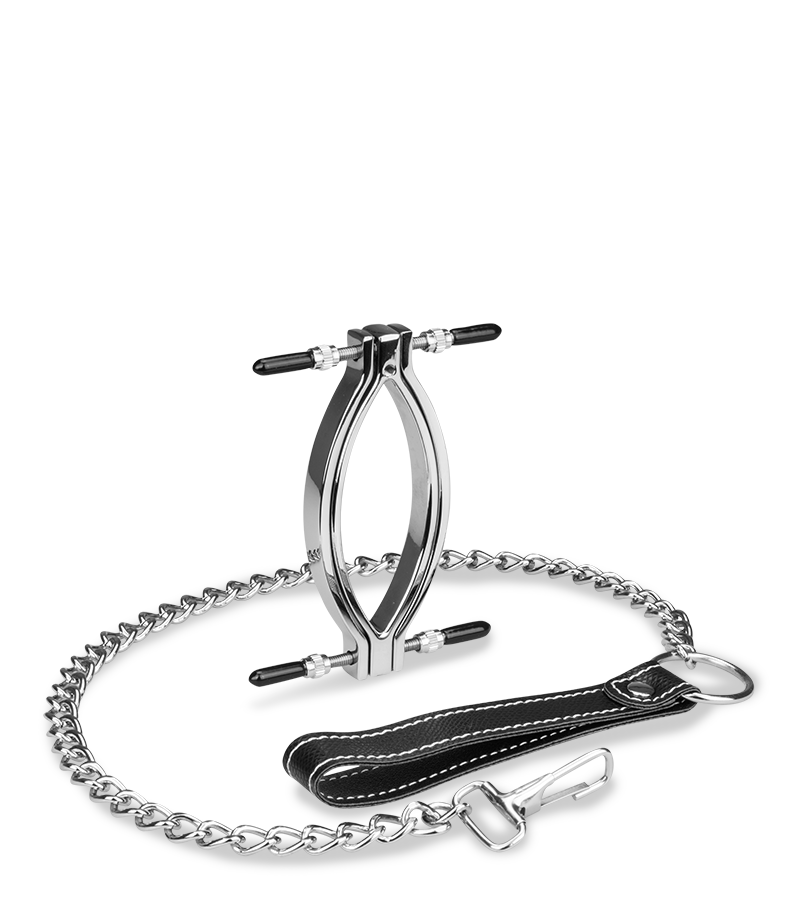 LOVE AND VIBES Pince à Vagin En Acier Inoxydable + Laisse 5 LOVE AND VIBES Pince à Vagin En Acier Inoxydable + Laisse – Image 5