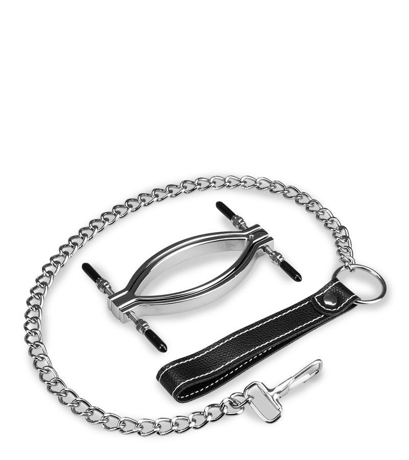 LOVE AND VIBES Pince à Vagin En Acier Inoxydable + Laisse 6 LOVE AND VIBES Pince à Vagin En Acier Inoxydable + Laisse – Image 6