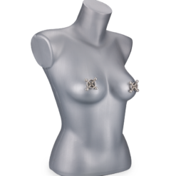 LOVE AND VIBES Pinces à Tétons à Vis BDSM