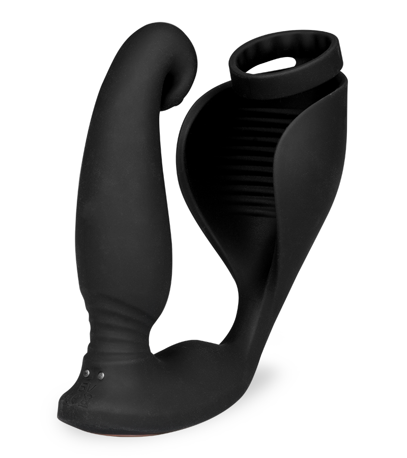 LOVE AND VIBES Stimulateur De Prostate 2-en-1 Raptor 3 LOVE AND VIBES Stimulateur De Prostate 2-en-1 Raptor – Image 3