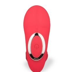 LOVE AND VIBES Stimulateur De Prostate Connecté Mister P -Sextoys boutique stimulateur de prostate connecte mister p 7