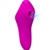 LOVE AND VIBES Vibro Suceur De Clitoris 12 Modes USB